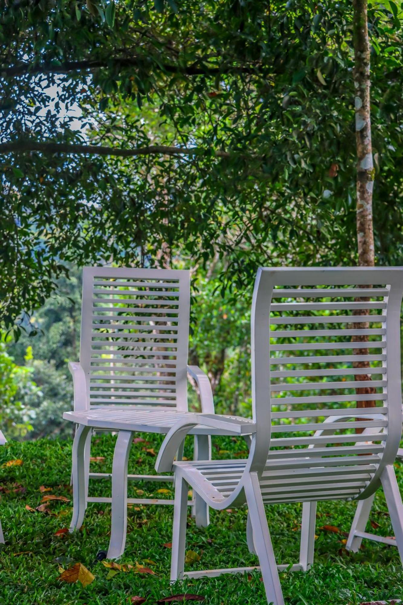 Winter Note Resorts Munnar Exteriör bild